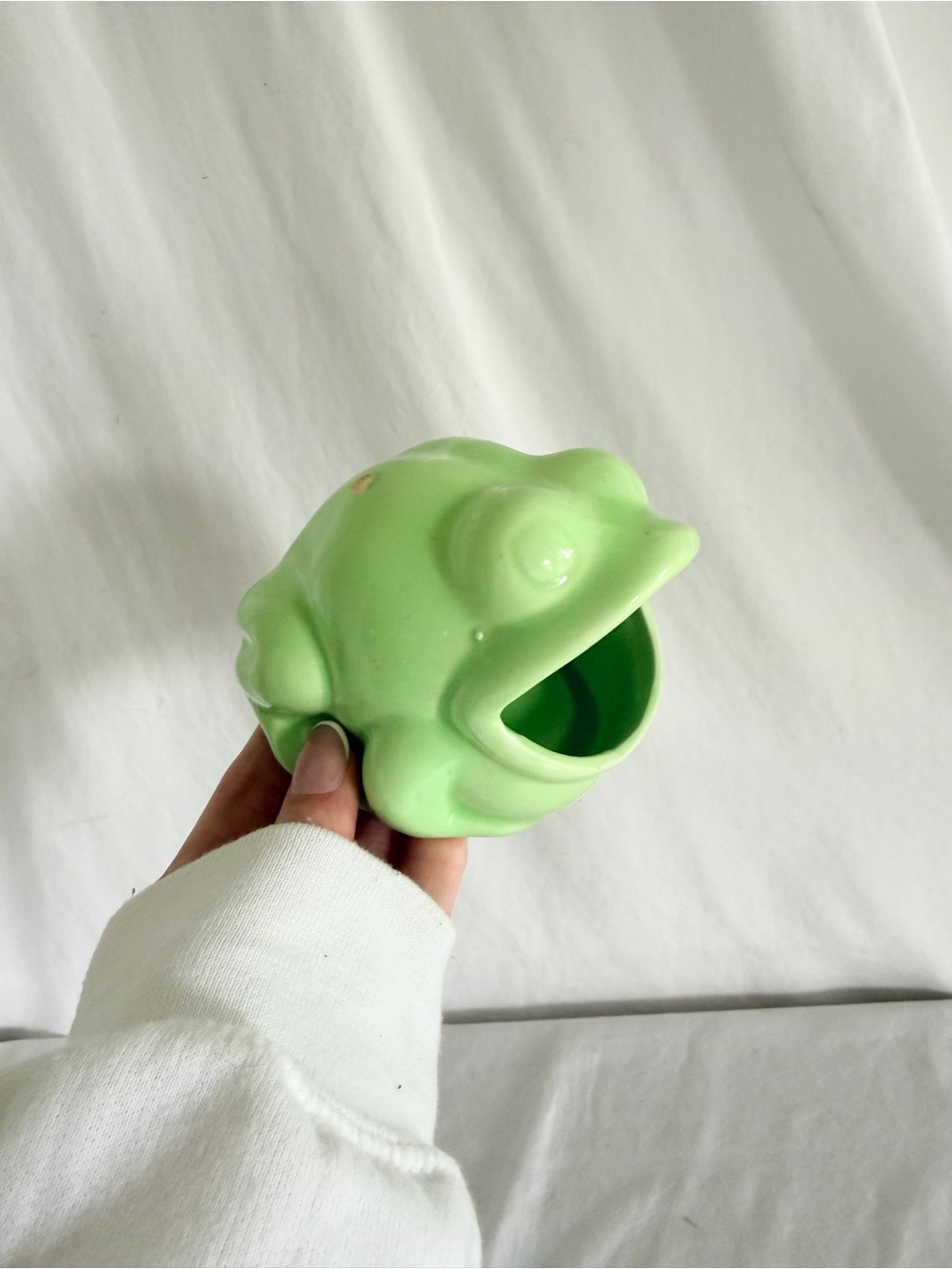 Ceramic Frog Planter in Light Green